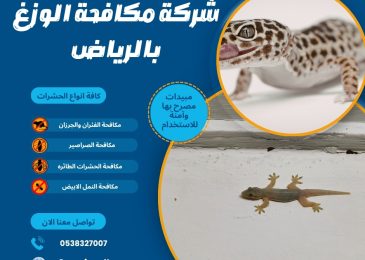 شركة مكافحة الوزغ بالرياض