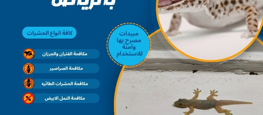 شركة مكافحة الوزغ بالرياض