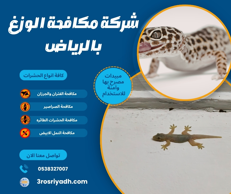 شركة مكافحة الوزغ بالرياض