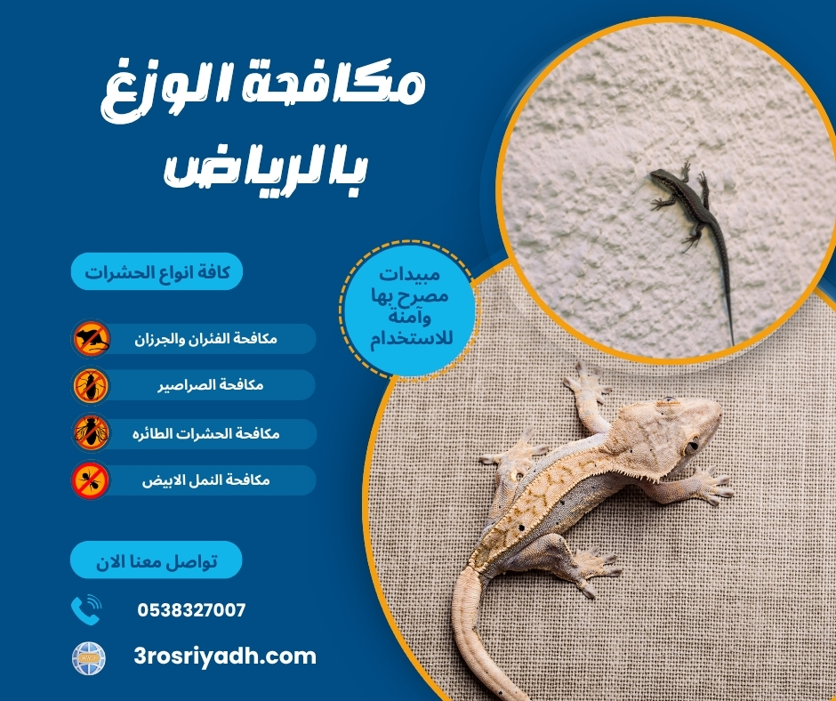مكافحة الوزغ بالرياض
