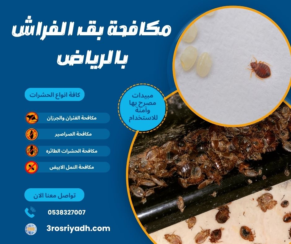 مكافحة بق الفراش بالرياض مكافحة بق الفراش بالرياض