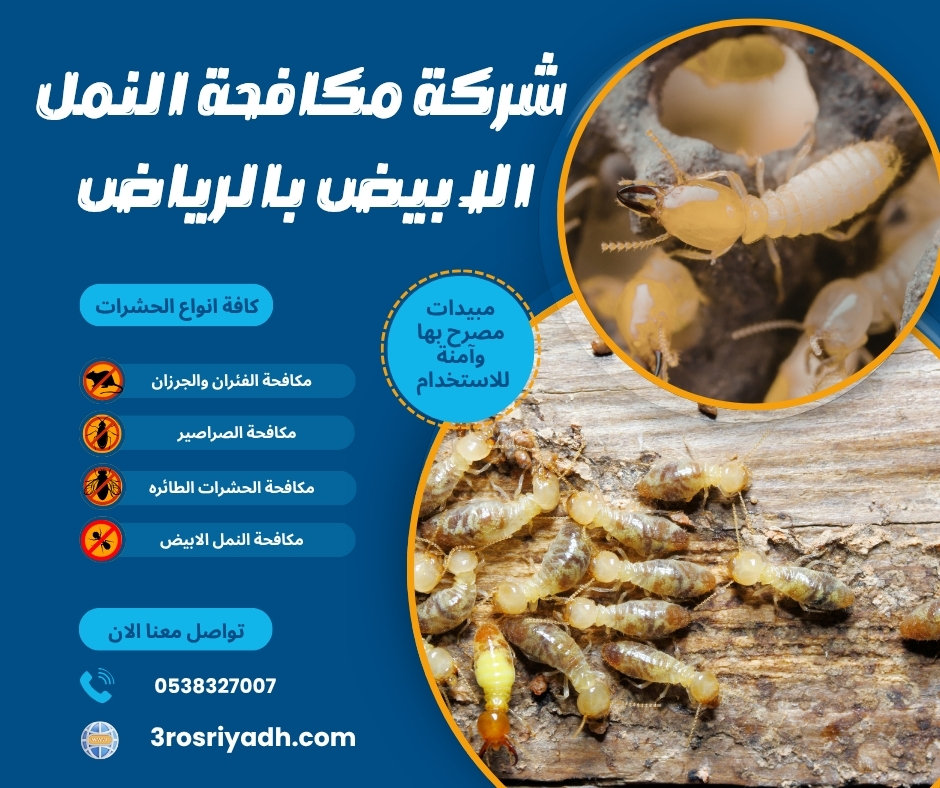 شركة مكافحة النمل الابيض بالرياض شركة مكافحة النمل الابيض بالرياض