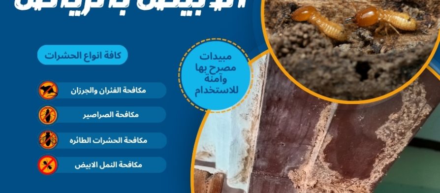 مكافحة النمل الابيض بالرياض 