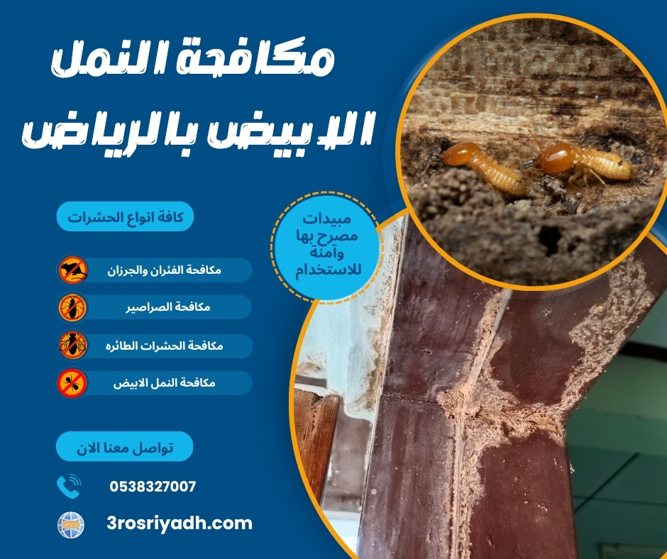 مكافحة النمل الابيض بالرياض مكافحة النمل الابيض بالرياض