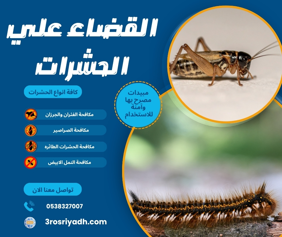 القضاء علي الحشرات