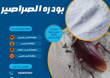 بودره الصراصير