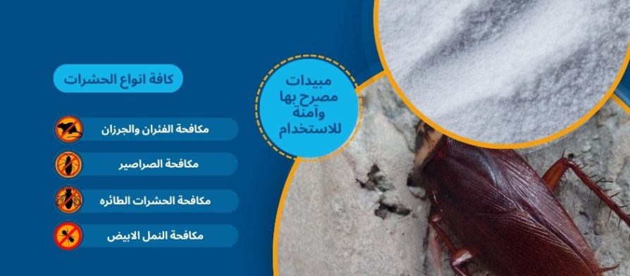 بودره الصراصير