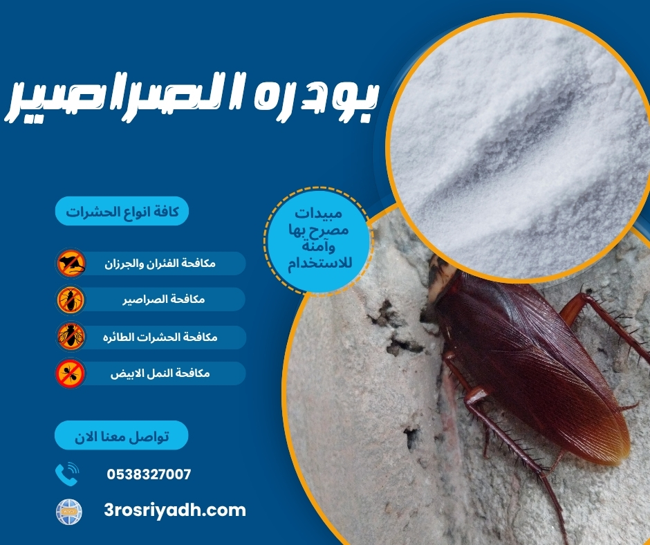 بودره الصراصير