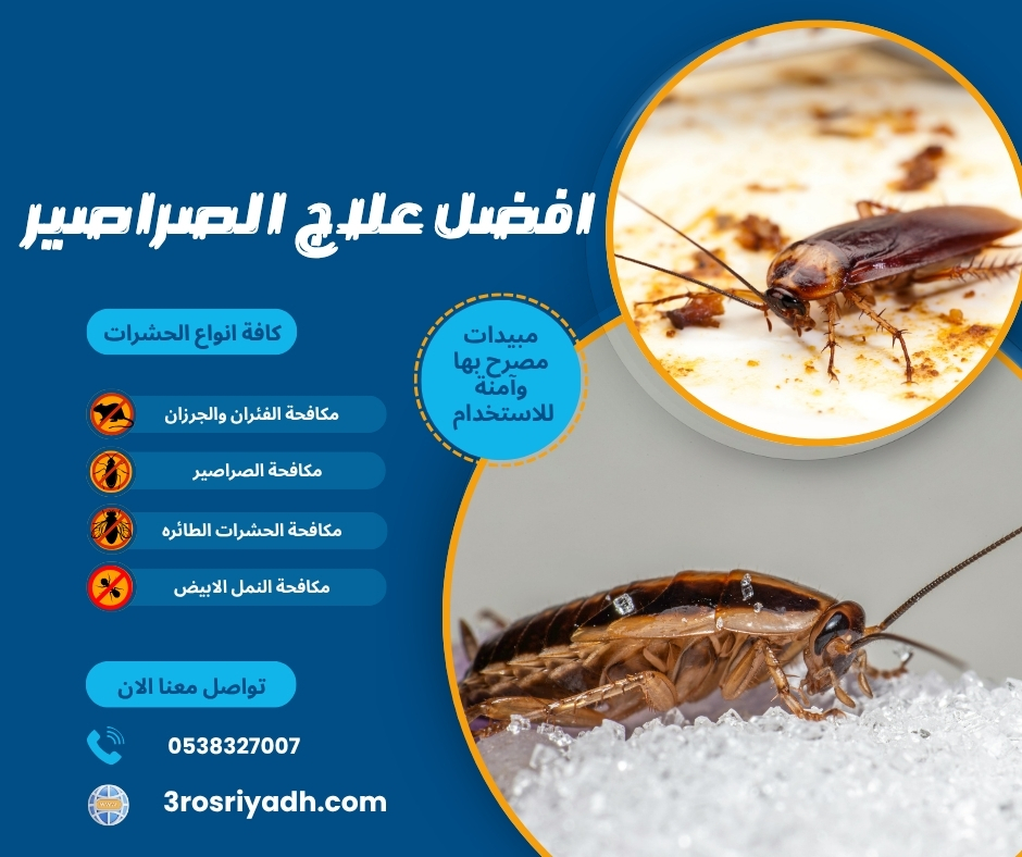 افضل علاج الصراصير