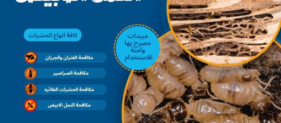 النمل الأبيض