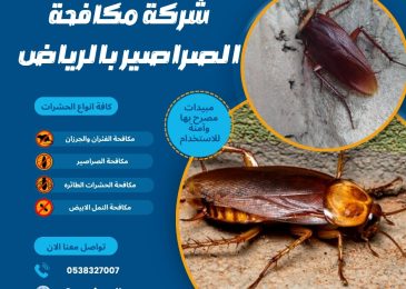 شركة مكافحة الصراصير بالرياض