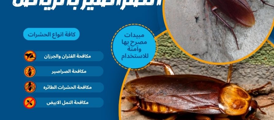 شركة مكافحة الصراصير بالرياض