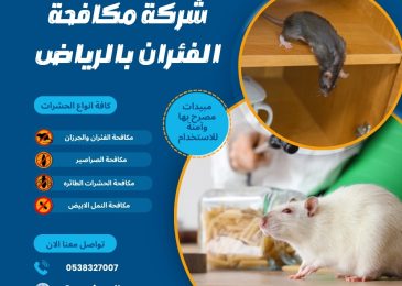 شركة مكافحة الفئران بالرياض
