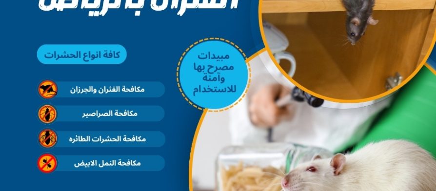 شركة مكافحة الفئران بالرياض