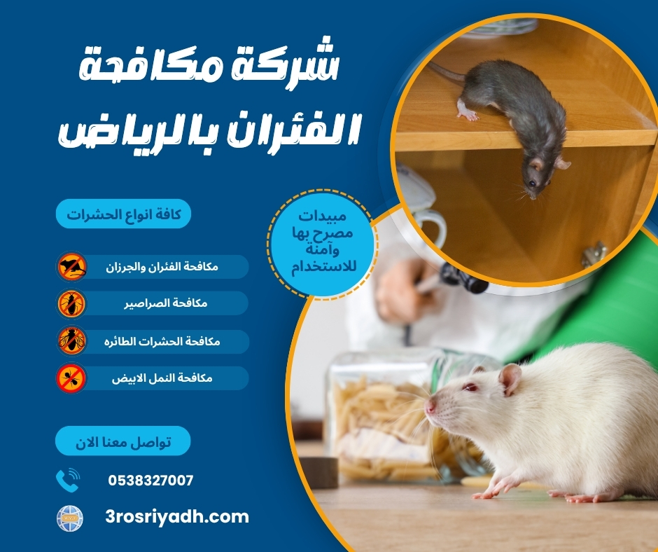 شركة مكافحة الفئران بالرياض