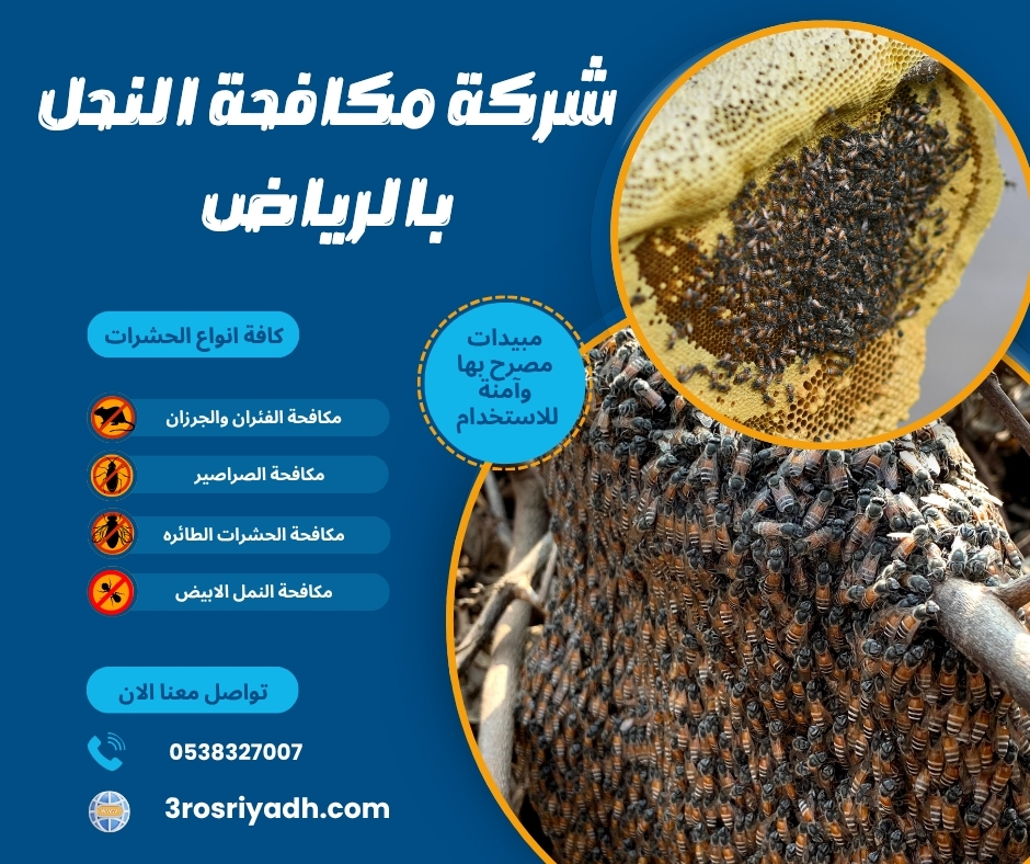 شركة مكافحة النحل بالرياض