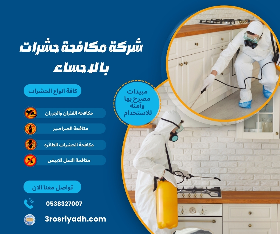 شركة مكافحة حشرات بالاحساء