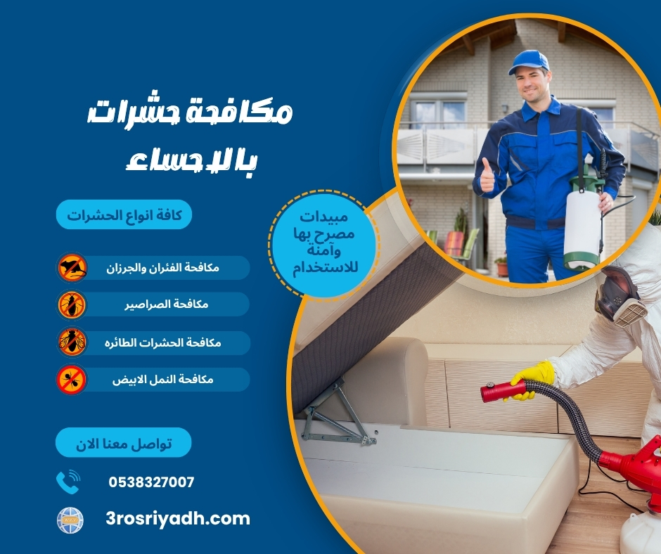 شركة مكافحة حشرات بالاحساء
