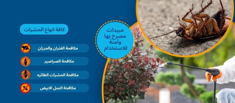 مكافحة حشرات بالرياض