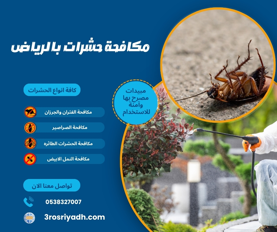 مكافحة حشرات بالرياض مكافحة حشرات بالرياض