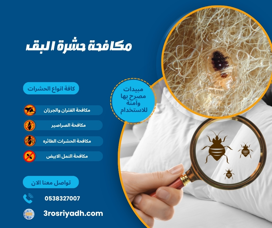 مكافحة حشرة البق