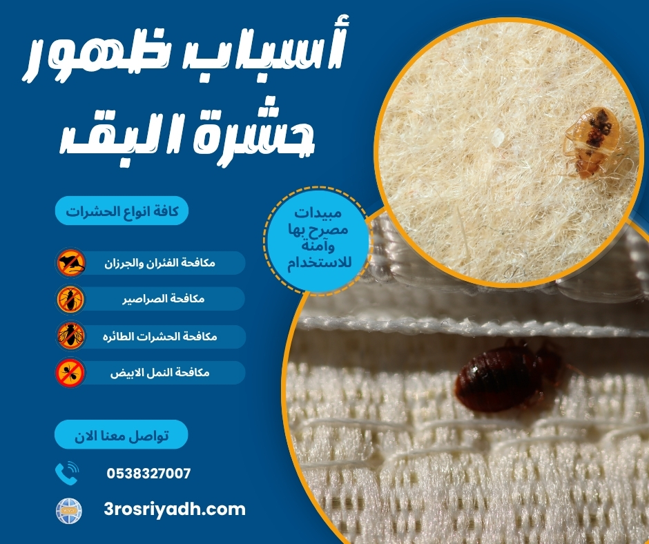 أسباب ظهور حشرة البق