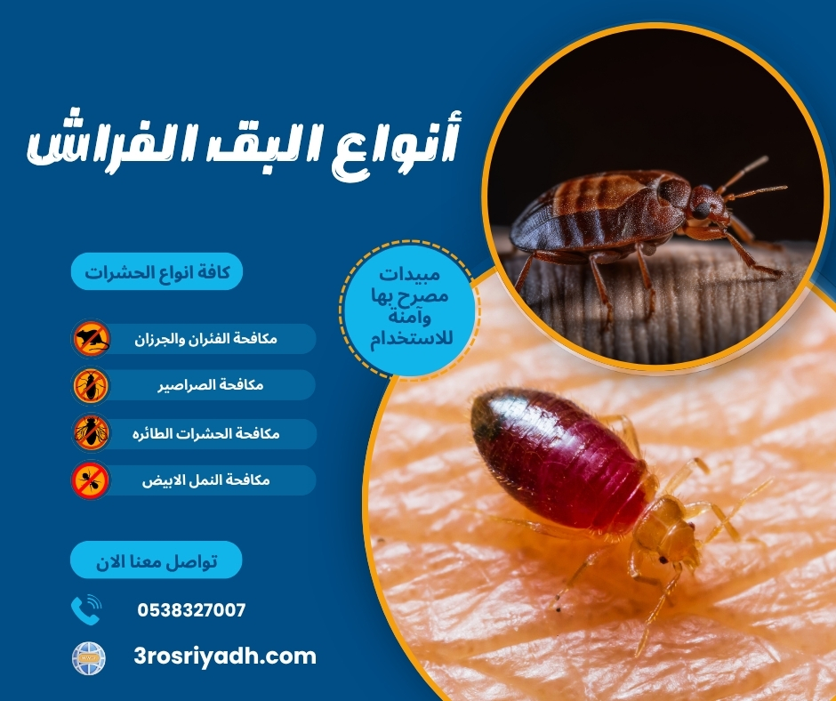 أنواع البق الفراش أنواع البق الفراش