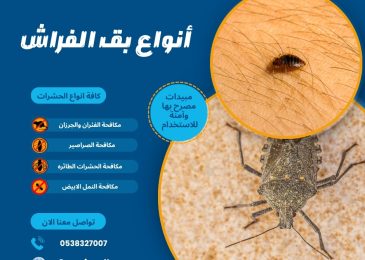 أنواع بق الفراش