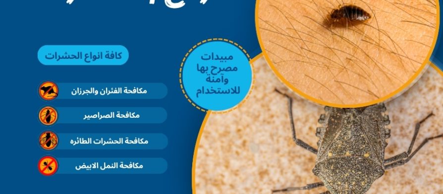 أنواع بق الفراش