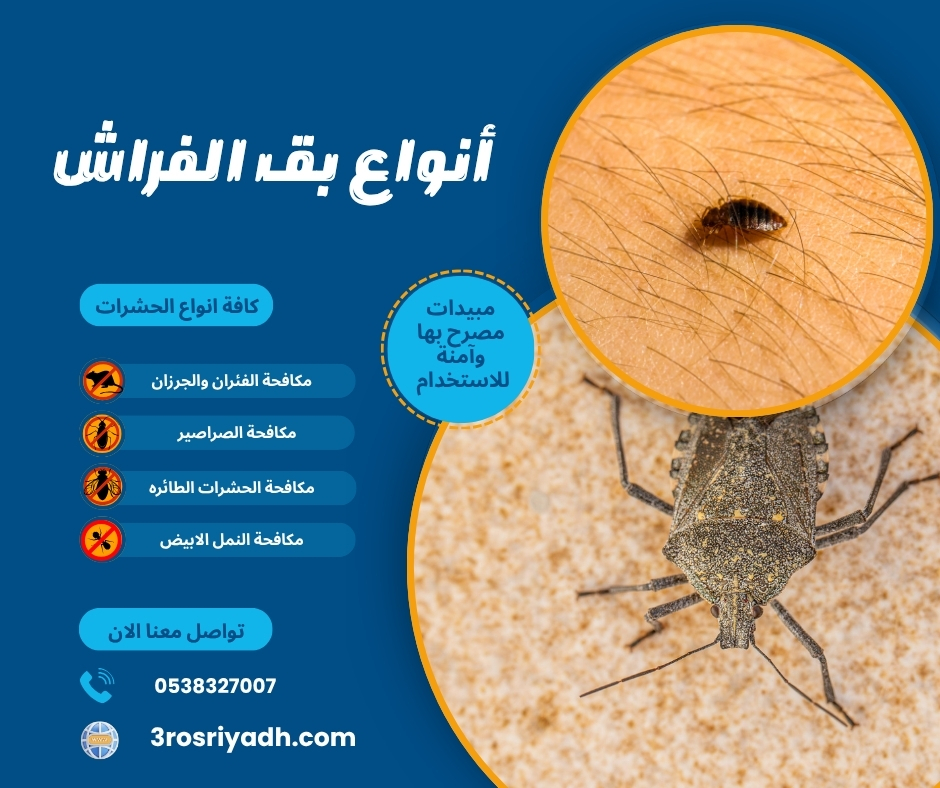 أنواع بق الفراش