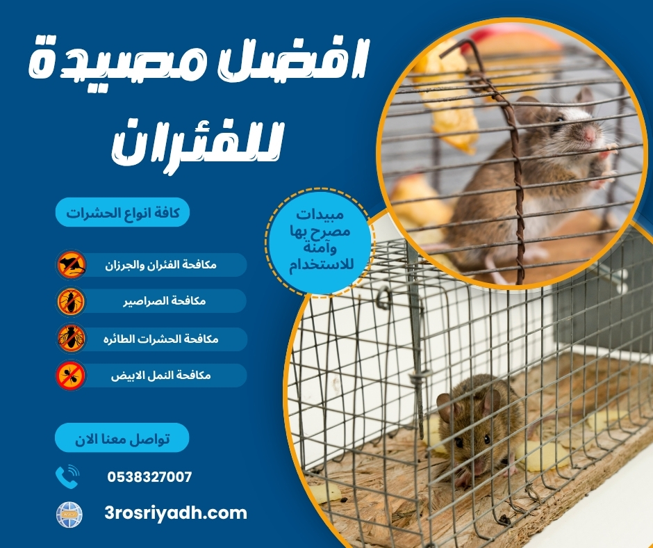 افضل مصيدة للفئران