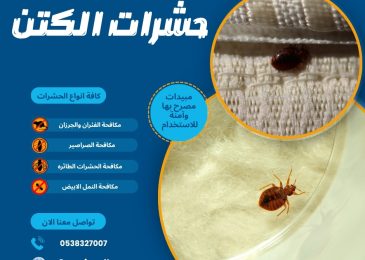 حشرات الكتن