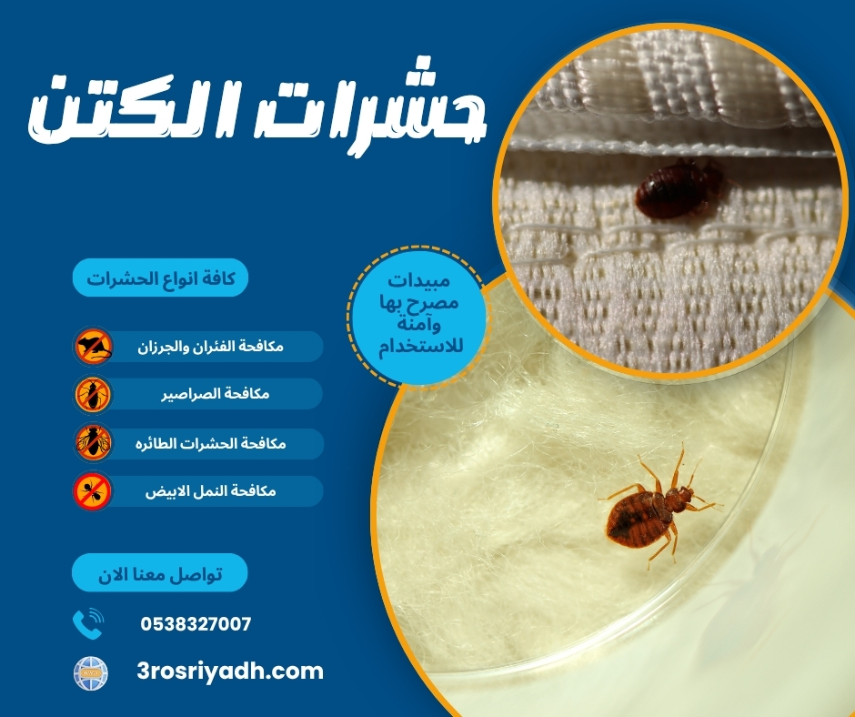 حشرات الكتن