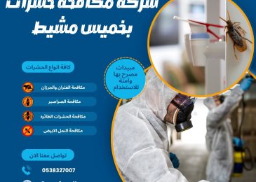 شركة مكافحة حشرات بخميس مشيط
