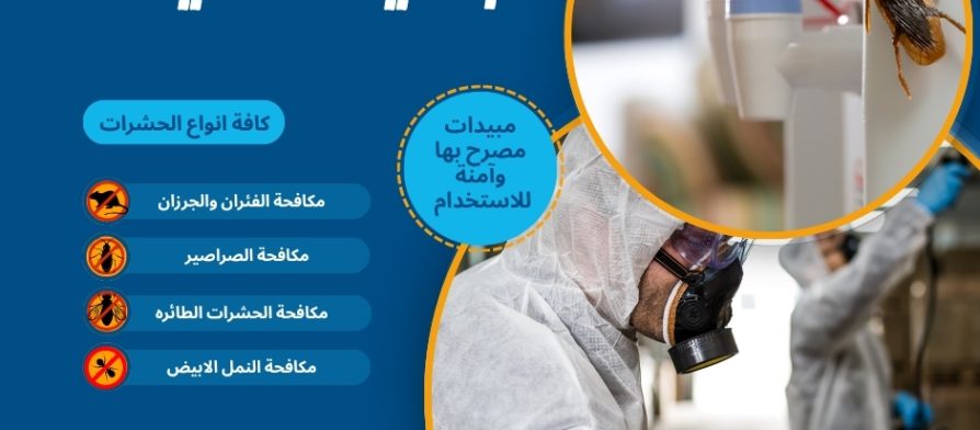شركة مكافحة حشرات بخميس مشيط