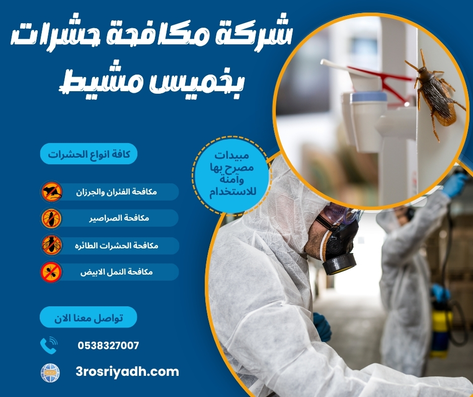 شركة مكافحة حشرات بخميس مشيط