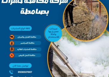 شركة مكافحة حشرات بصامطة