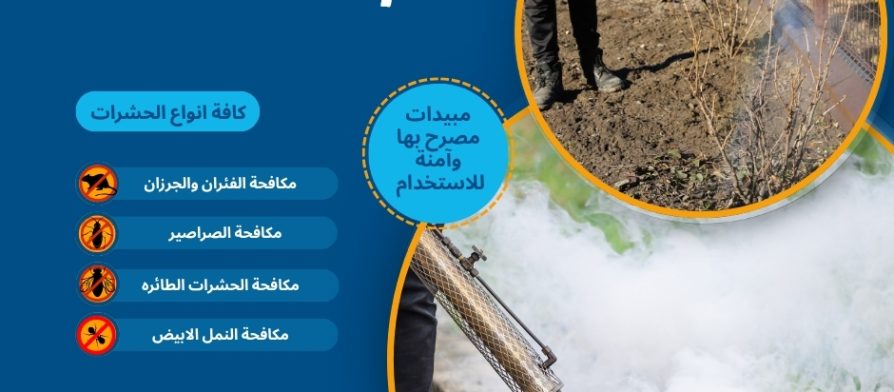 شركة مكافحة حشرات بصامطة
