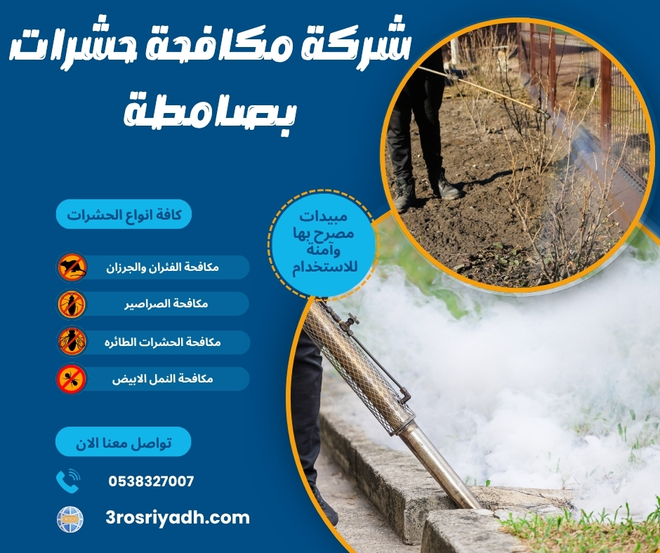 شركة مكافحة حشرات بصامطة