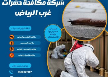 شركة مكافحة حشرات غرب الرياض