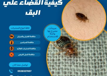كيفية القضاء علي البق