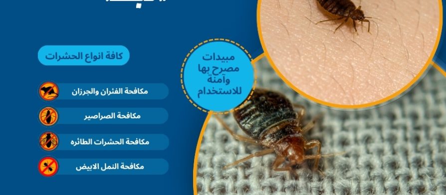 كيفية القضاء علي البق