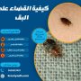 كيفية القضاء علي البق