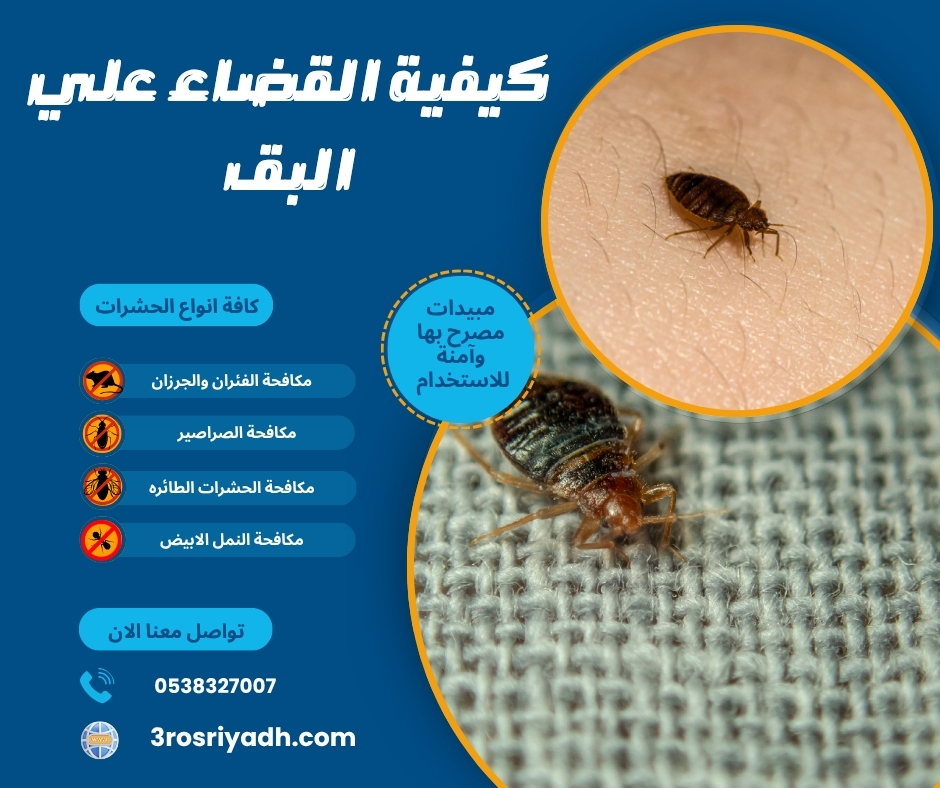 كيفية القضاء علي البق كيفية القضاء علي البق