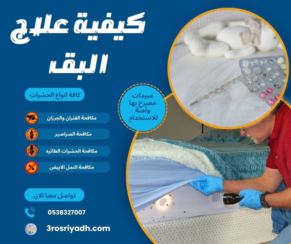 كيفية علاج البق