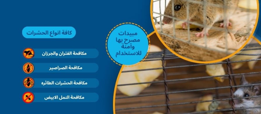 مصيدة الفئران