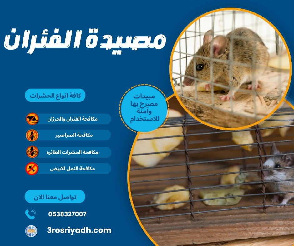 مصيدة الفئران