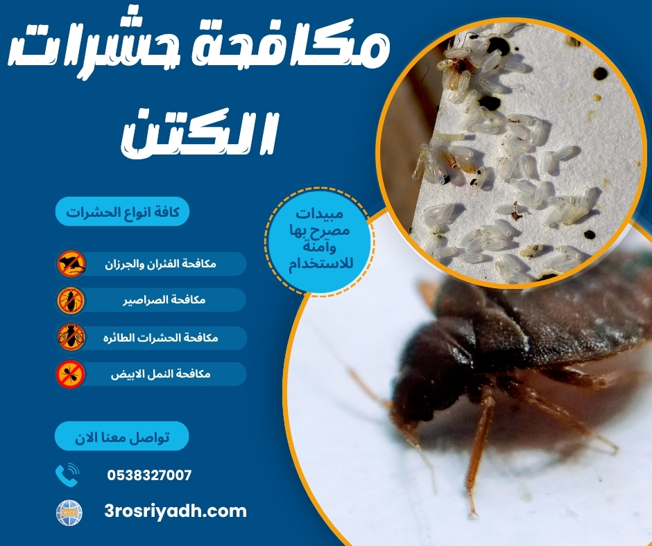 مكافحة حشرات الكتن