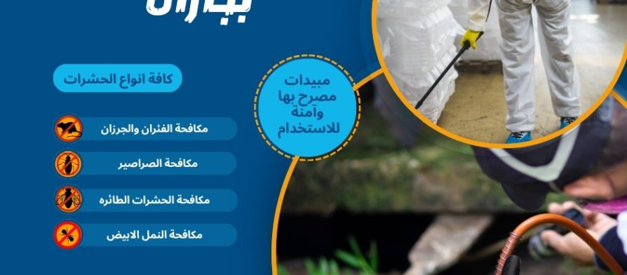 مكافحة حشرات بجازان