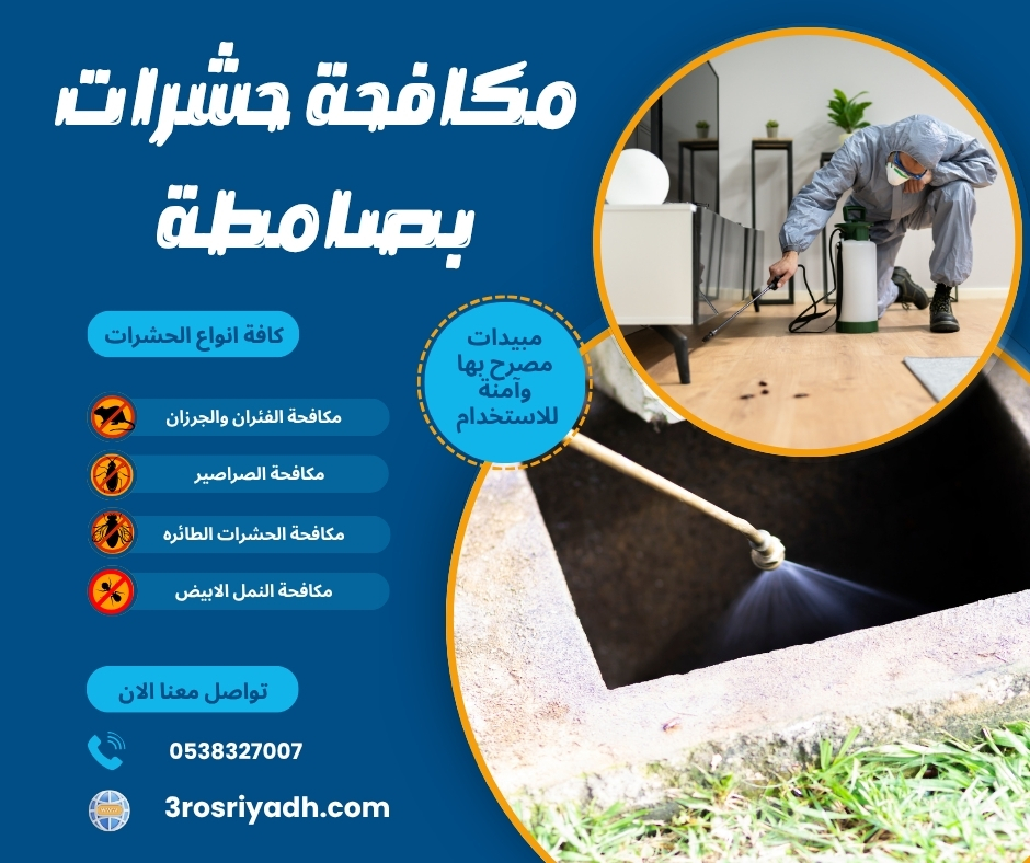 مكافحة حشرات بصامطة